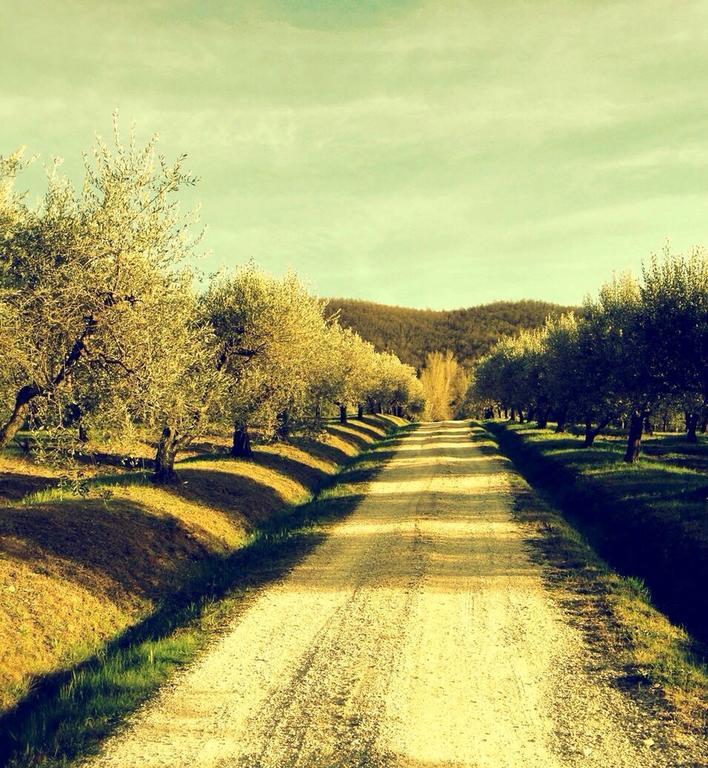 Podere Le Corone Βίλα Monte Castello di Vibio Εξωτερικό φωτογραφία