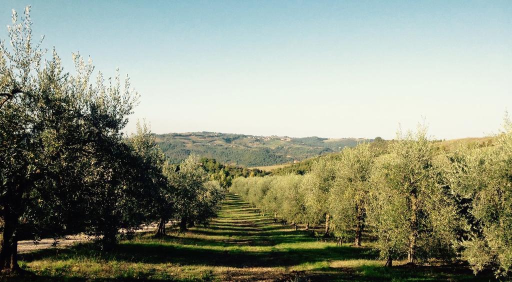 Podere Le Corone Βίλα Monte Castello di Vibio Εξωτερικό φωτογραφία