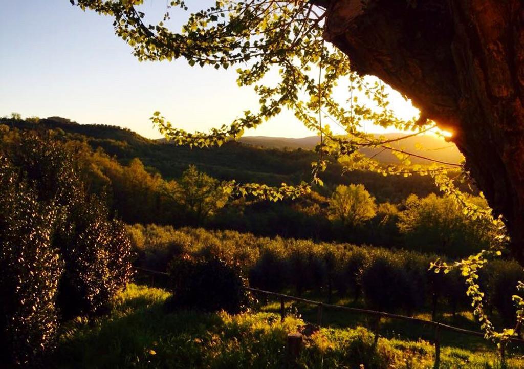 Podere Le Corone Βίλα Monte Castello di Vibio Εξωτερικό φωτογραφία
