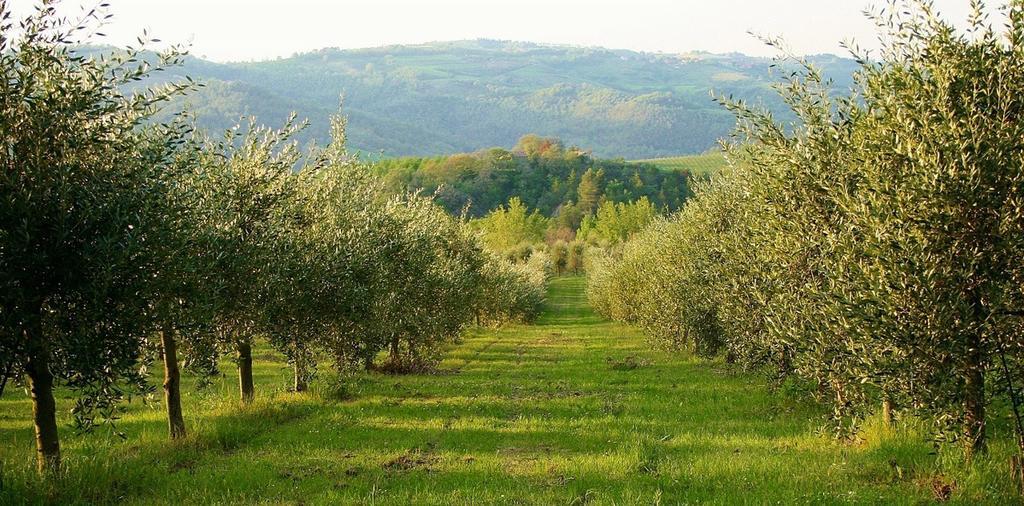 Podere Le Corone Βίλα Monte Castello di Vibio Εξωτερικό φωτογραφία